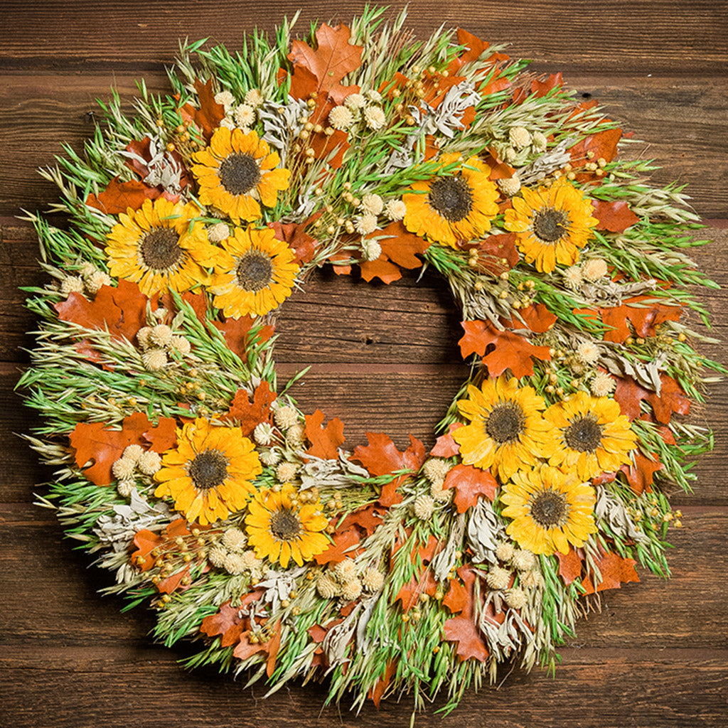 A close-up of a dried wreath made of green oats with gray sage, cream globe amaranthus, flax pods, orange preserved oak leaves, and preserved sunflowers hung on a dark wood background.