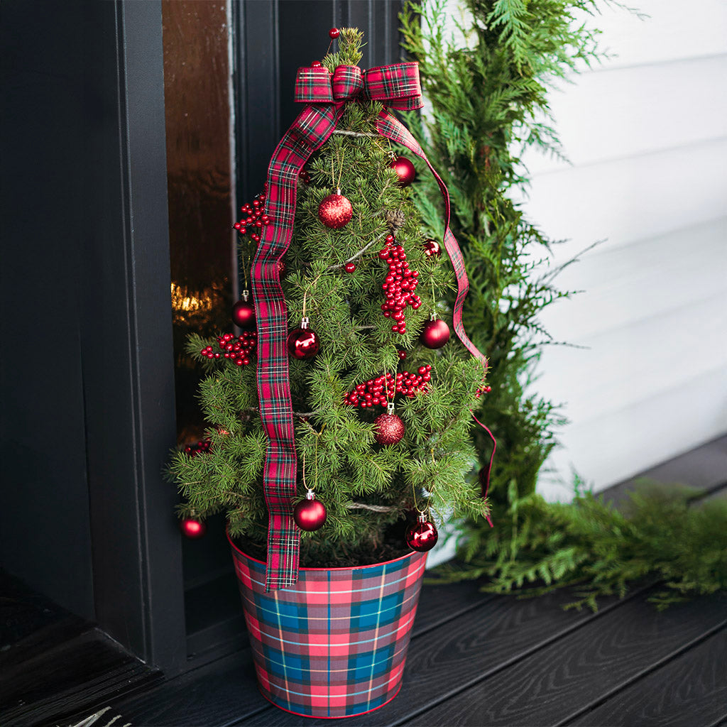 Perfect Plaid Living Christmas Tree - 2 Gallons