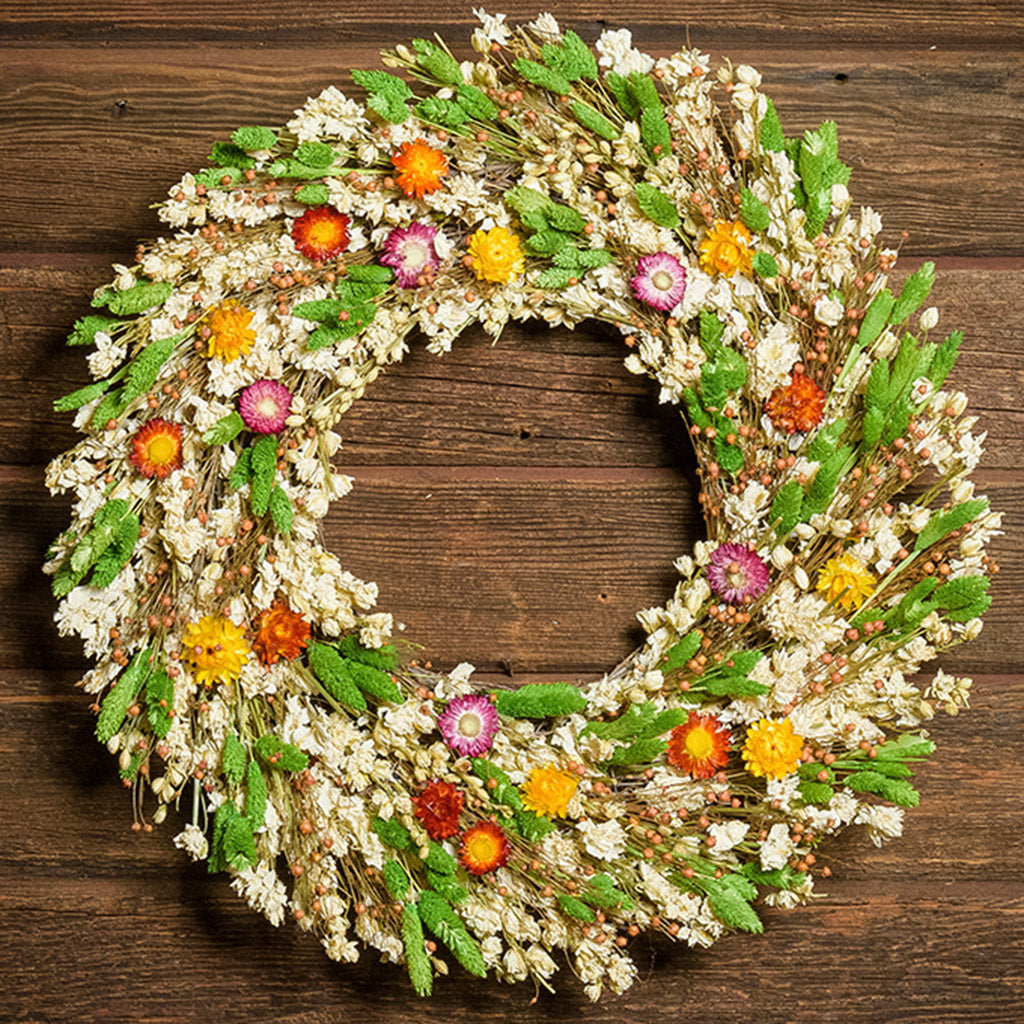 A close-up of a dried wreath made of green phalaris, white larkspur, assorted colors of strawflower blooms and pink flax pods hung on a dark wood background.