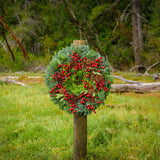 Christmas wreath with metallic red berries, pine cones, bay leaves on fir, pine and cedar base