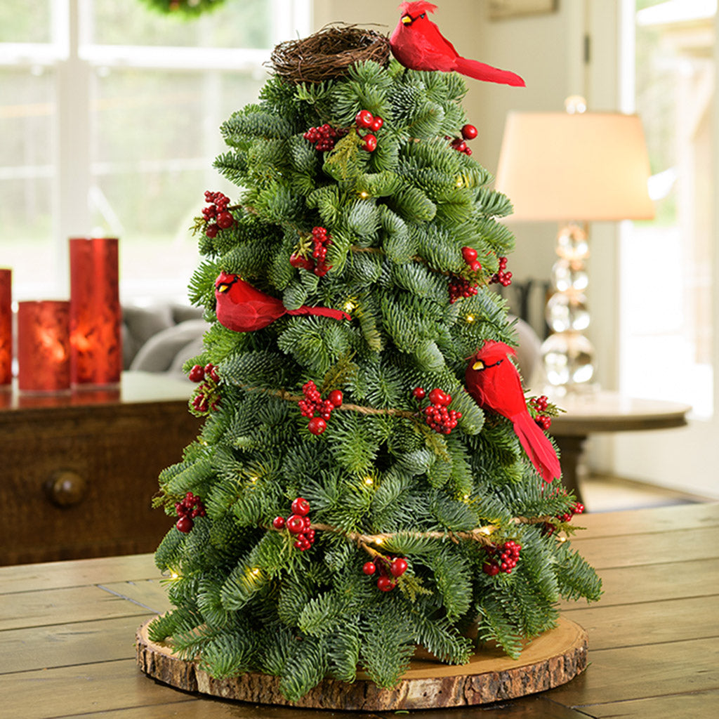 Cardinal Christmas Decor: Infuse Your Holiday Season with Joy and Tradition