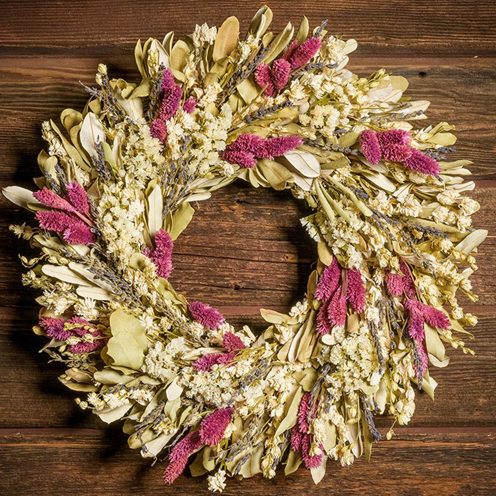 18" wreath with a blend of dried integrifolia, white larkspur, English lavender, pink phalaris, and white statice on a dark brown background.