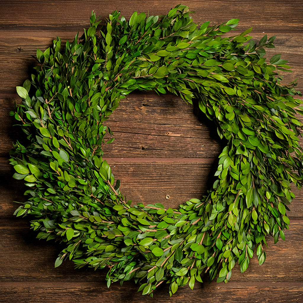 22” wreath is lovingly handcrafted with all natural preserved green myrtle on a dark wood background.
