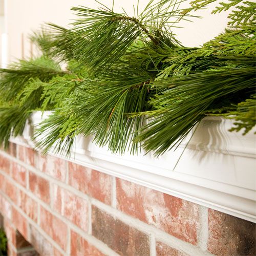 Fresh mixed garland lush combination of red and incense cedar and white pine.