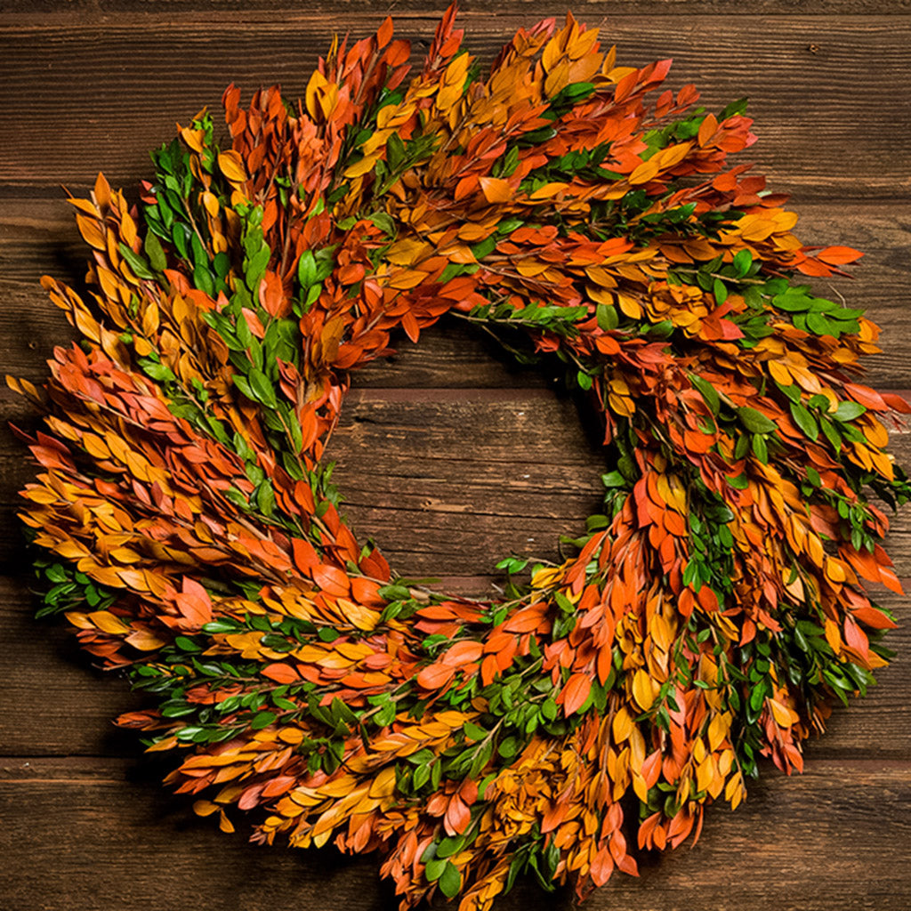 22" wreath made of naturally preserved green, yellow, and orange myrtle on a dark wood background. 