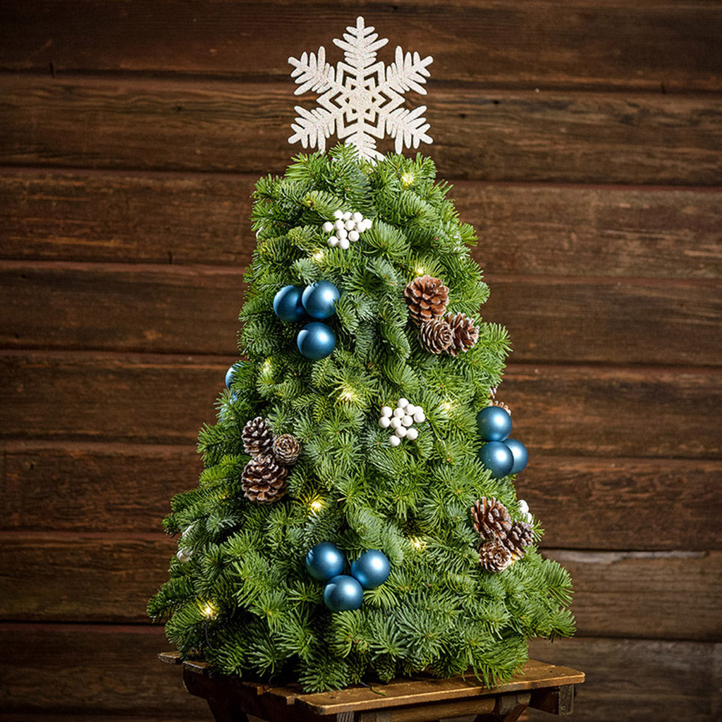 A tree made of noble fir, frosted pinecones, white berry clusters, dark blue ball clusters, a snowflake ornament tree topper, and a strand of warm white lights with a dark wood background.
