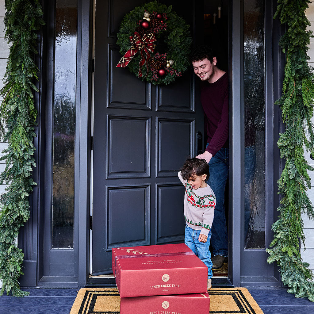 All That Shines – Lynch Creek Farm