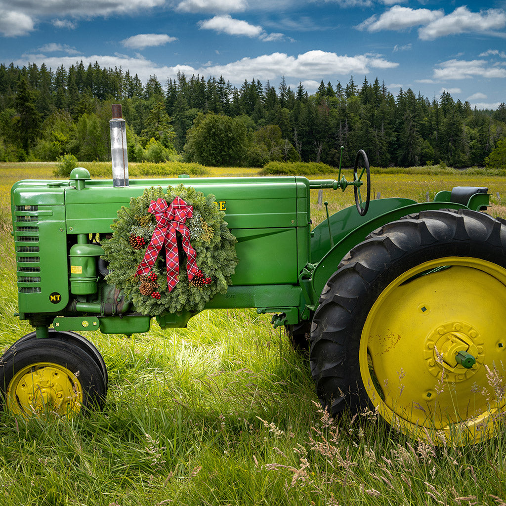 Green tractor with a wreath and red bow in a field