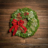 A wreath made of silver fir and juniper that is decorated with faux red berries and small country apples, ponderosa pinecones, and a red velveteen with gold back bow hung on dark wood background.
