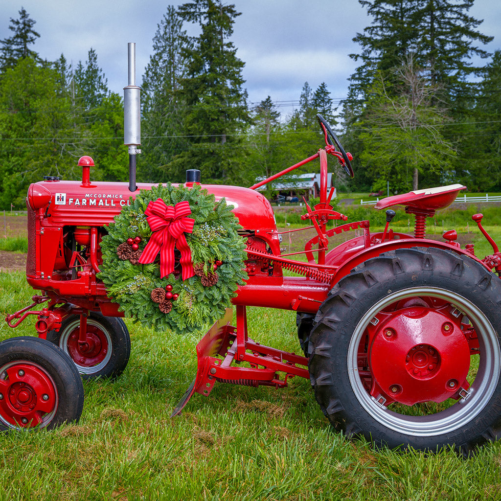 An evergreen wreath of noble fir, cedar, and juniper with pinecones, red ball ornaments, and a red-striped bow