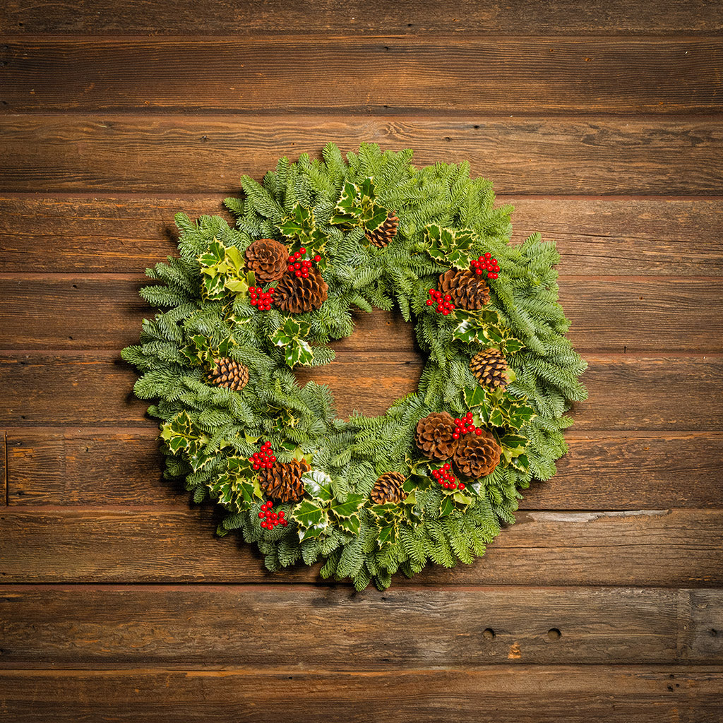 Peaceful Forest with Dual Lights