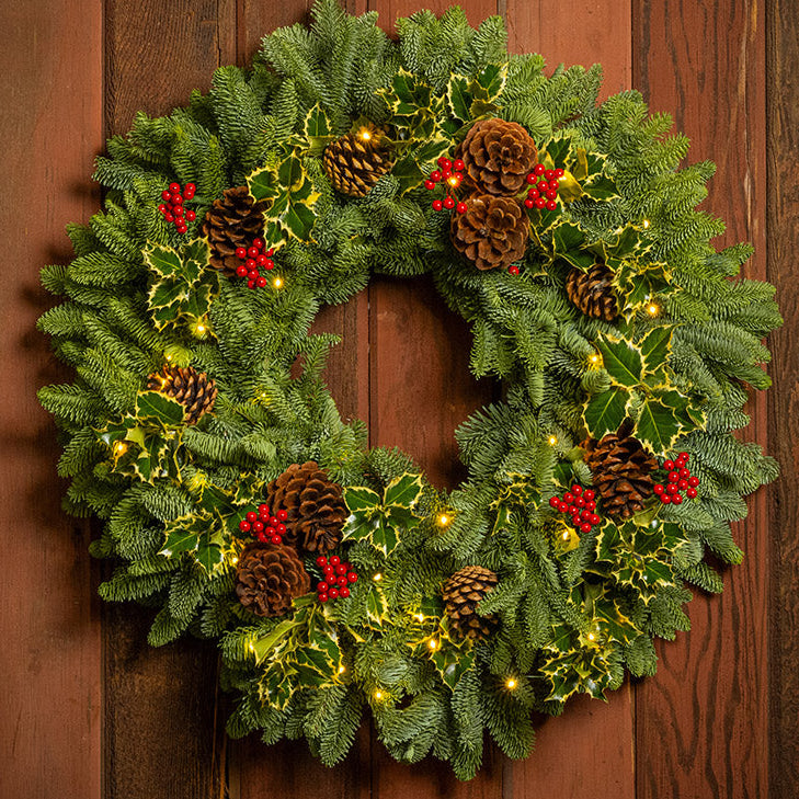 Peaceful Forest with Dual Lights