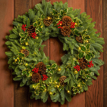 Peaceful Forest with Dual Lights