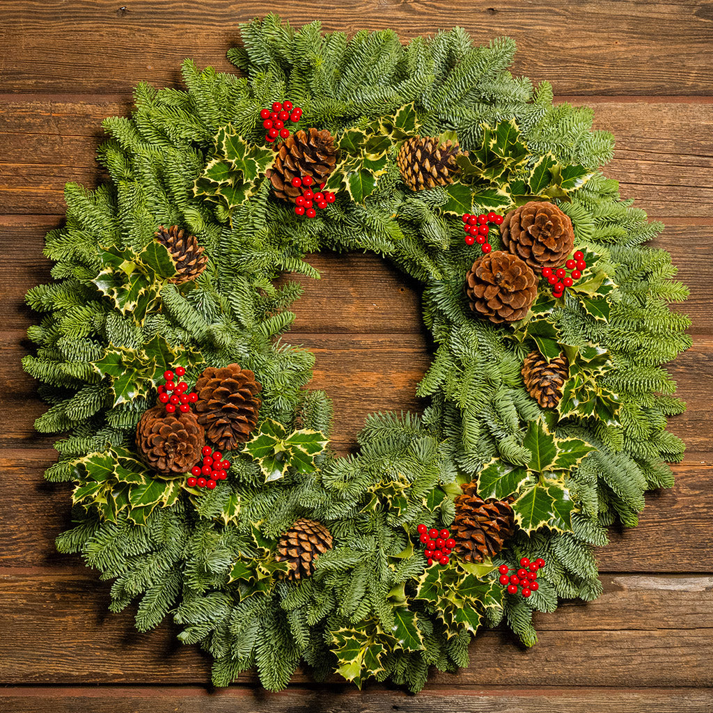 Peaceful Forest with Dual Lights