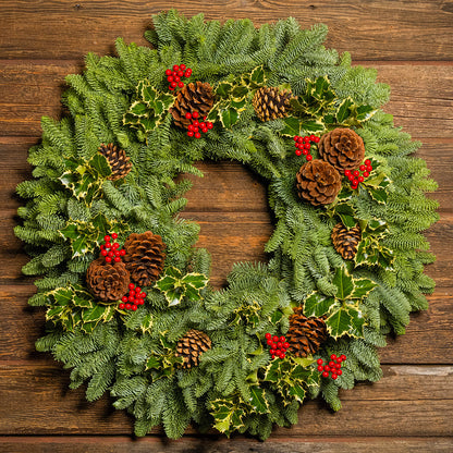 Peaceful Forest with Dual Lights