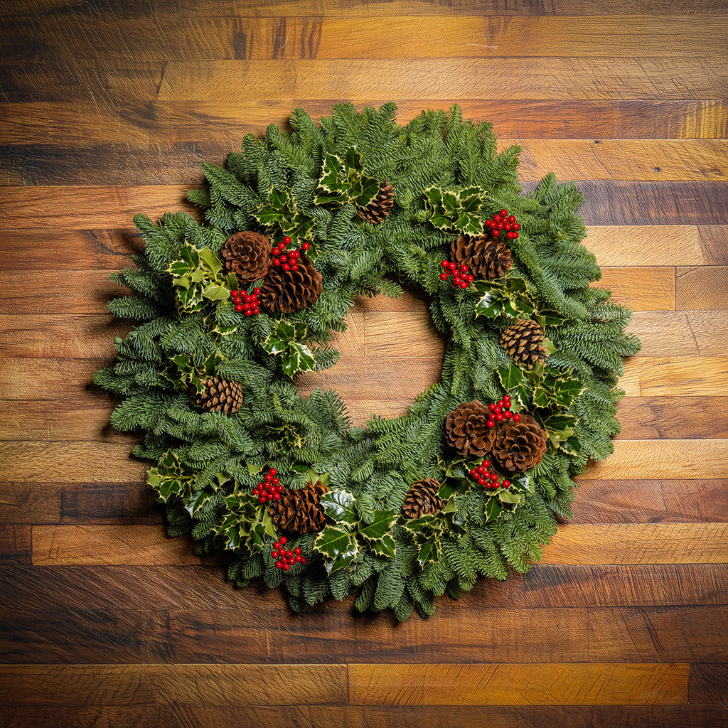 Peaceful Forest with Dual Lights