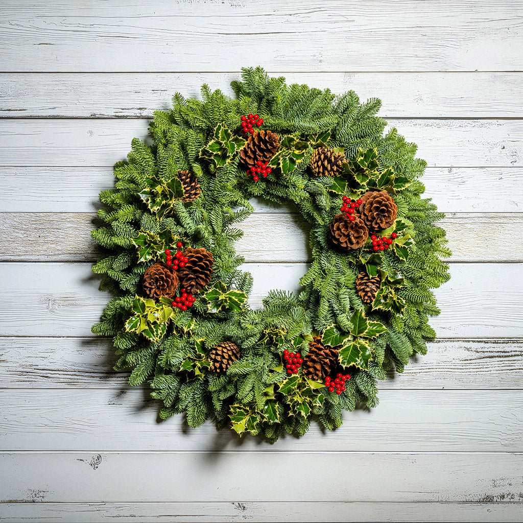 Peaceful Forest with Dual Lights