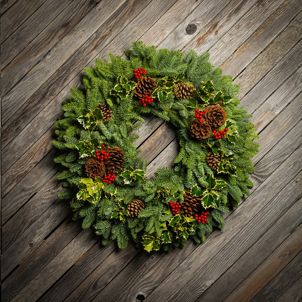 Peaceful Forest with Dual Lights