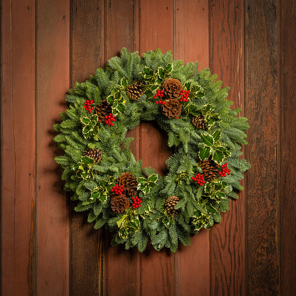 Peaceful Forest with Dual Lights