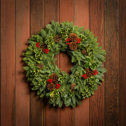 Peaceful Forest with Dual Lights