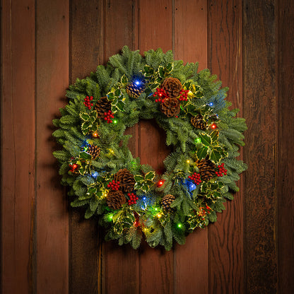 Peaceful Forest with Dual Lights