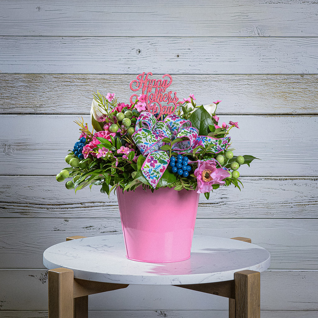 Burst of Love – Lynch Creek Farm