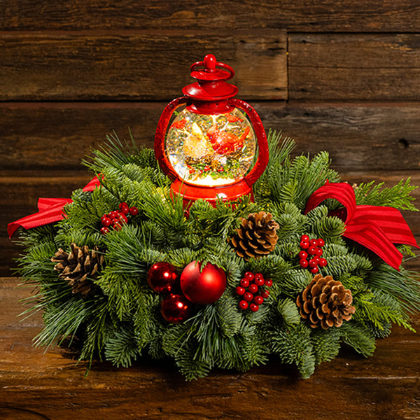 CM22024-DecemberCardinals-
