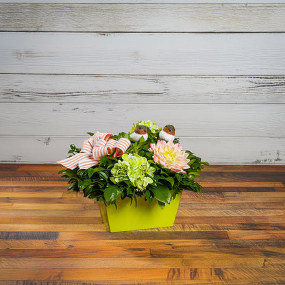 Fresh salal and green huckleberry with faux green hydrangeas, faux pink dahlia, two chickadee birds, and a peach-striped linen bow in a green container