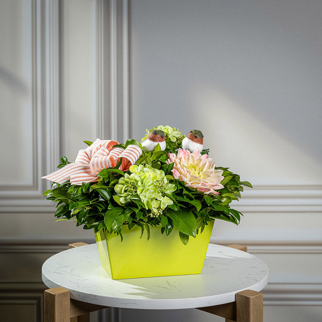 Fresh salal and green huckleberry with faux green hydrangeas, faux pink dahlia, two chickadee birds, and a peach-striped linen bow in a green container