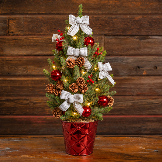 Home for the Holidays Living Christmas Tree - 1 Gallon