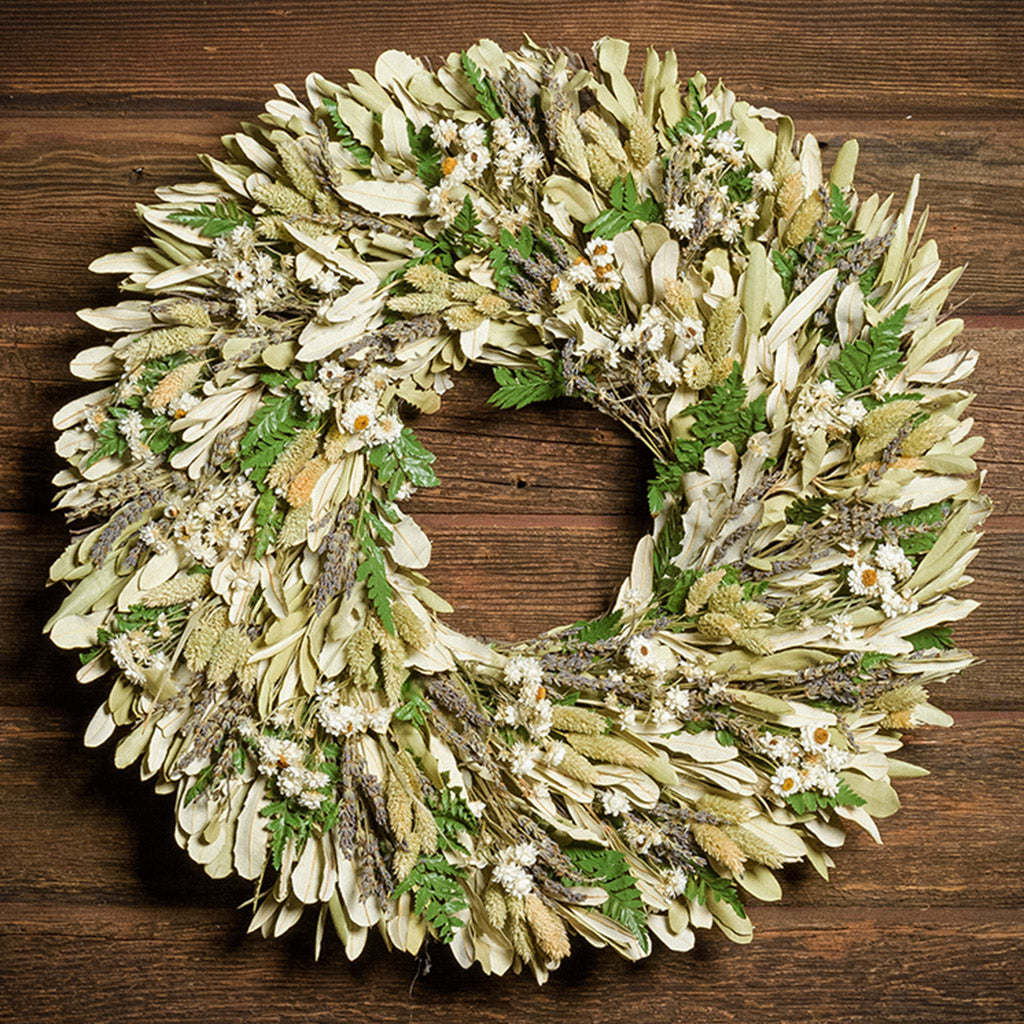 A close-up of a dried wreath made of natural green fern, integrifolia leaves, bleached phalaris, English lavender, and white daisies hung on a dark wood background.