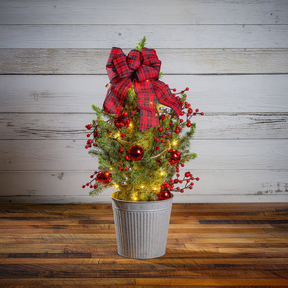Country Woods Living Tree One Gallon