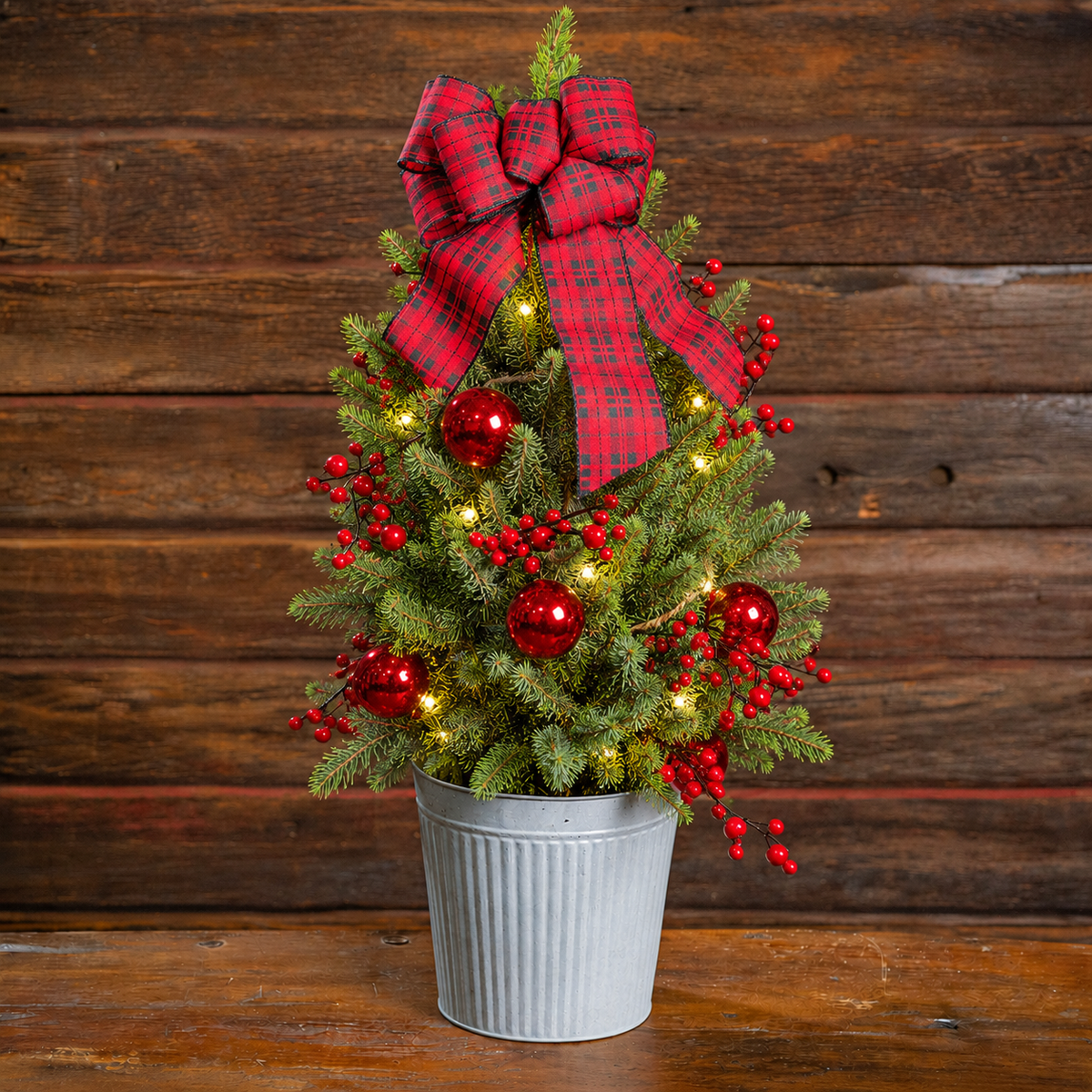 Country Woods Living Tree One Gallon