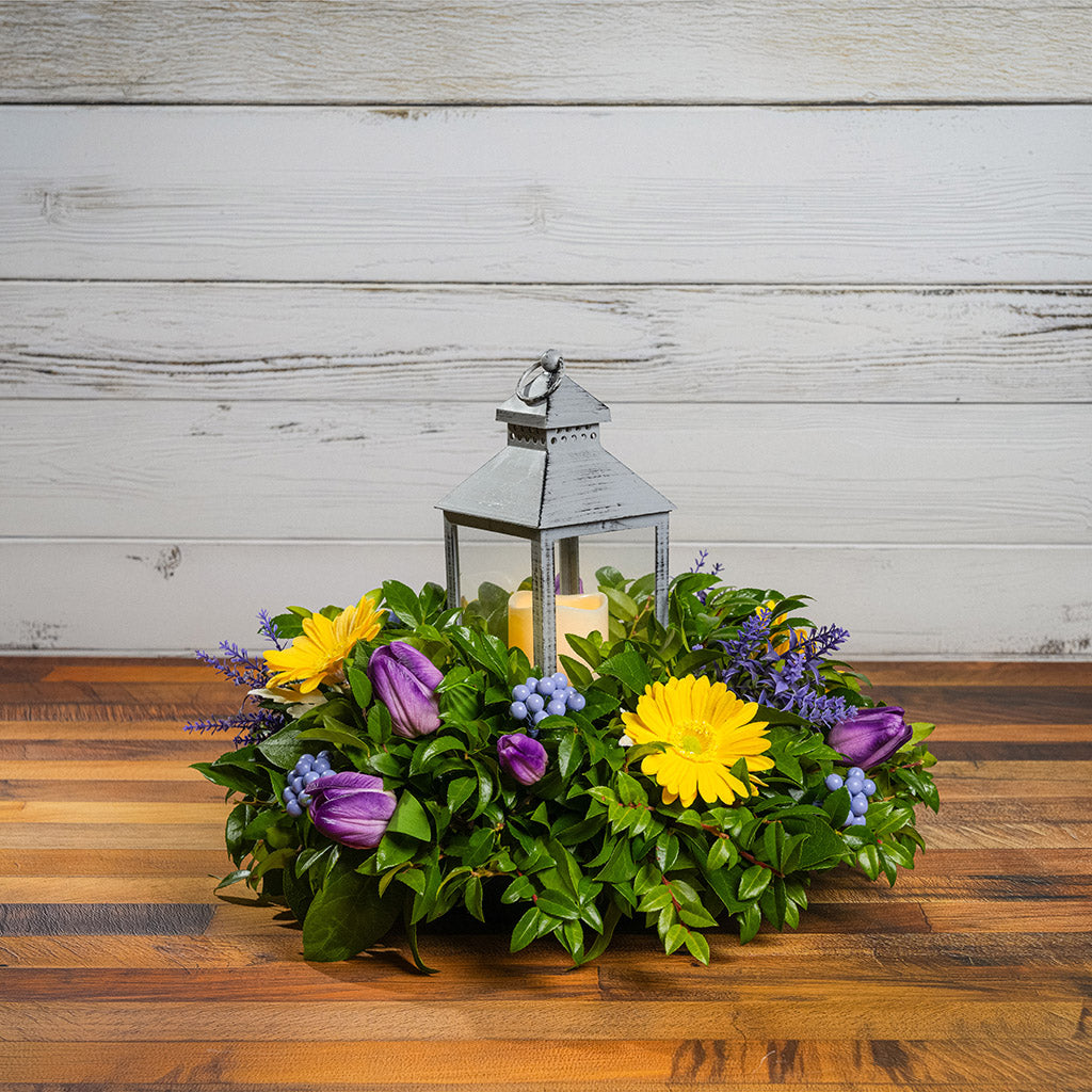 Fresh salal and green huckleberry with faux yellow gerbera daisies, faux purple tulips, faux lavender, and faux purple berries with a gray LED lantern