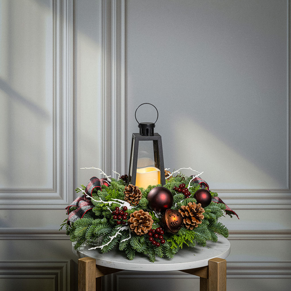 Evergreen Embers