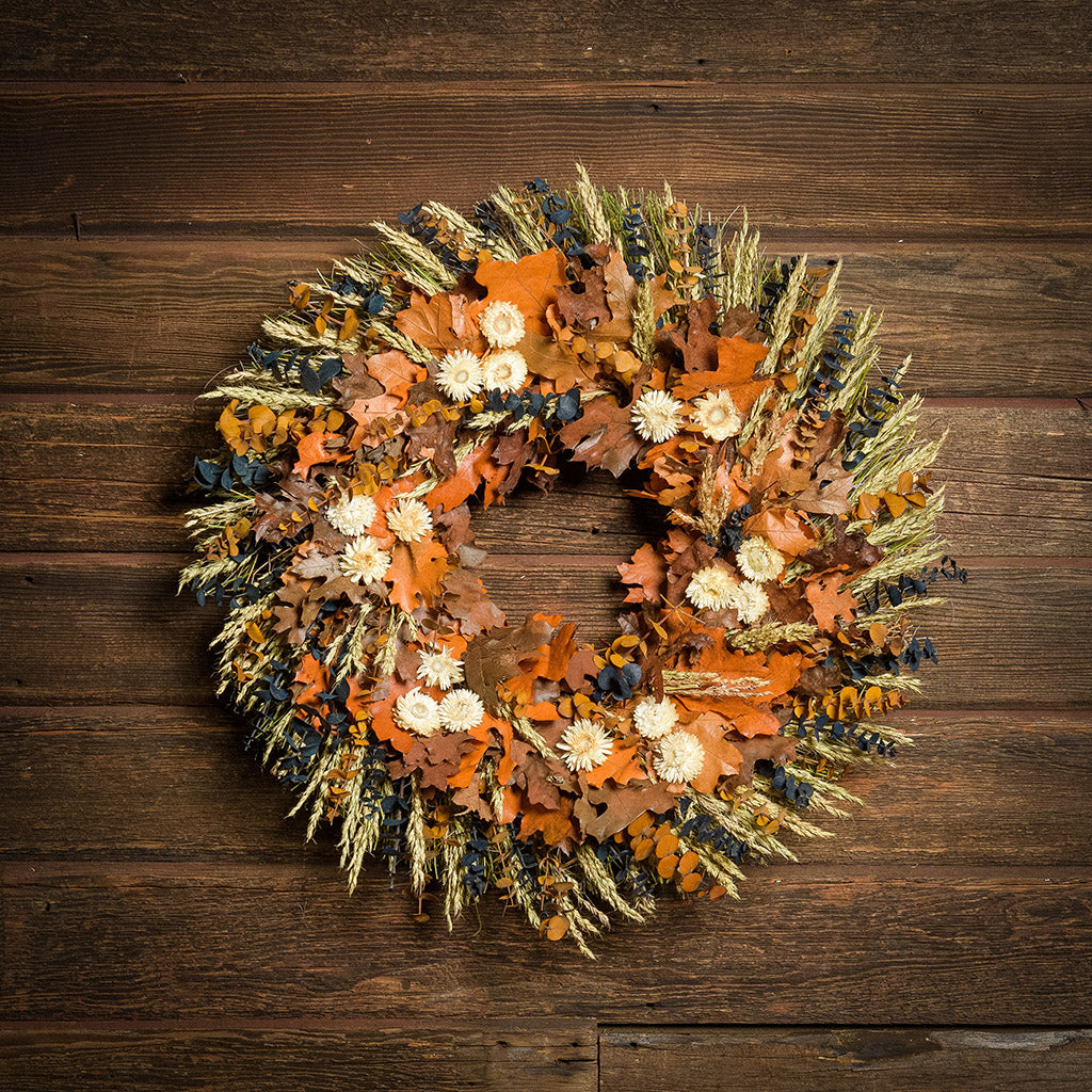 A dried wreath made of preserved spiral eucalyptus in amber and navy blue colors with a mix of sudan grass, preserved oak leaves in orange and cafe colors, and cream strawflower accents hung on a dark wood background.