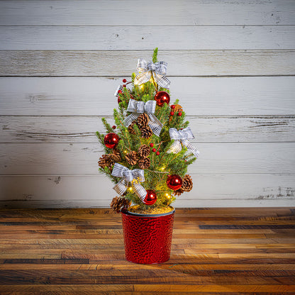 Home for the Holidays Living Christmas Tree - 1 Gallon