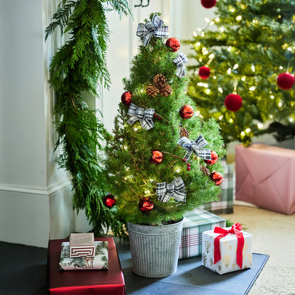 Home for the Holidays Living Christmas Tree - 1 Gallon