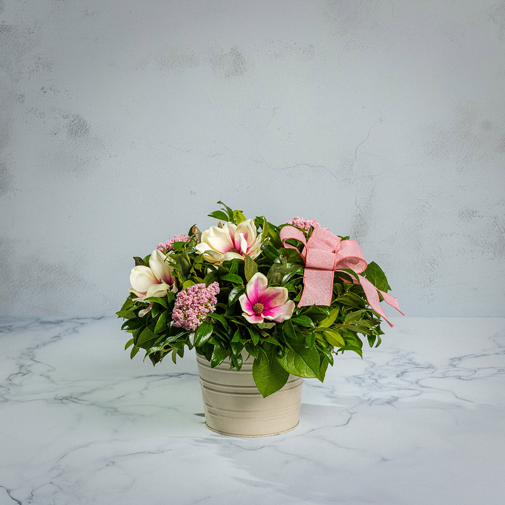 Fresh salal and green huckleberry with faux magnolia flowers, faux pink verbena, and a mauve pink bow in a white metal pot