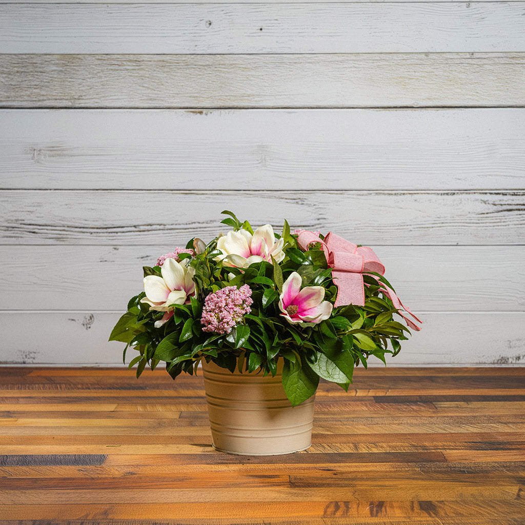 Fresh salal and green huckleberry with faux magnolia flowers, faux pink verbena, and a mauve pink bow in a white metal pot