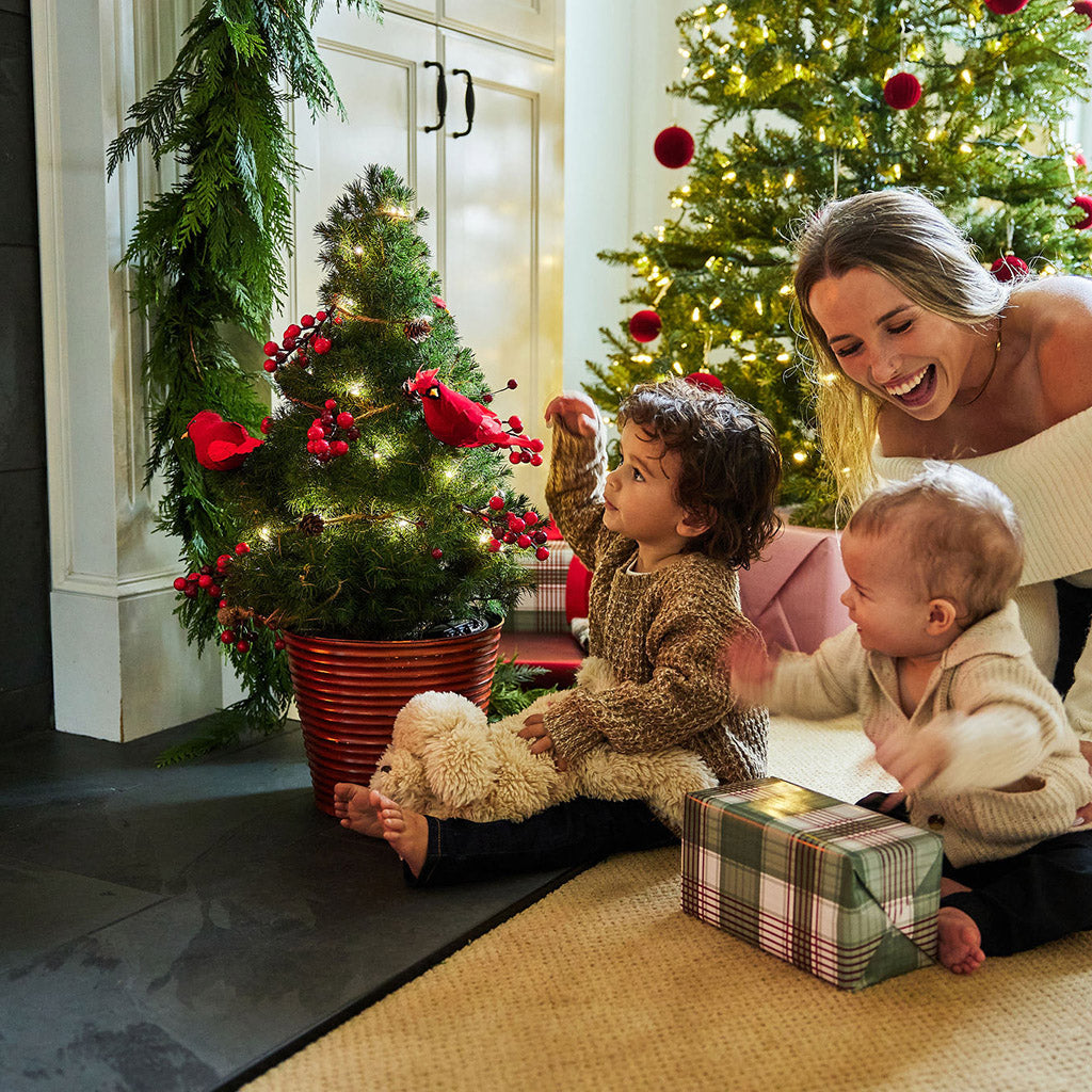 Merry Redbirds Living Christmas Tree - 2 Gallons