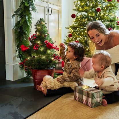 Merry Redbirds Living Christmas Tree - 2 Gallons