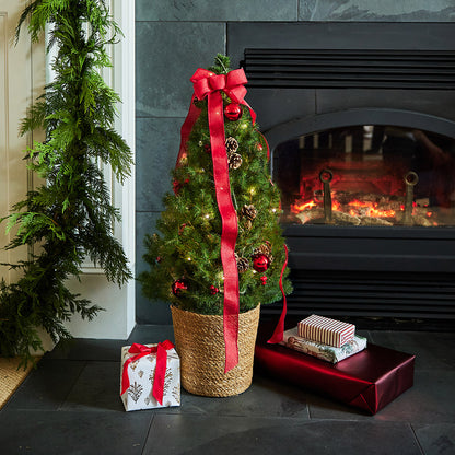 Natural Noel Living Christmas Tree - 1 Gallon