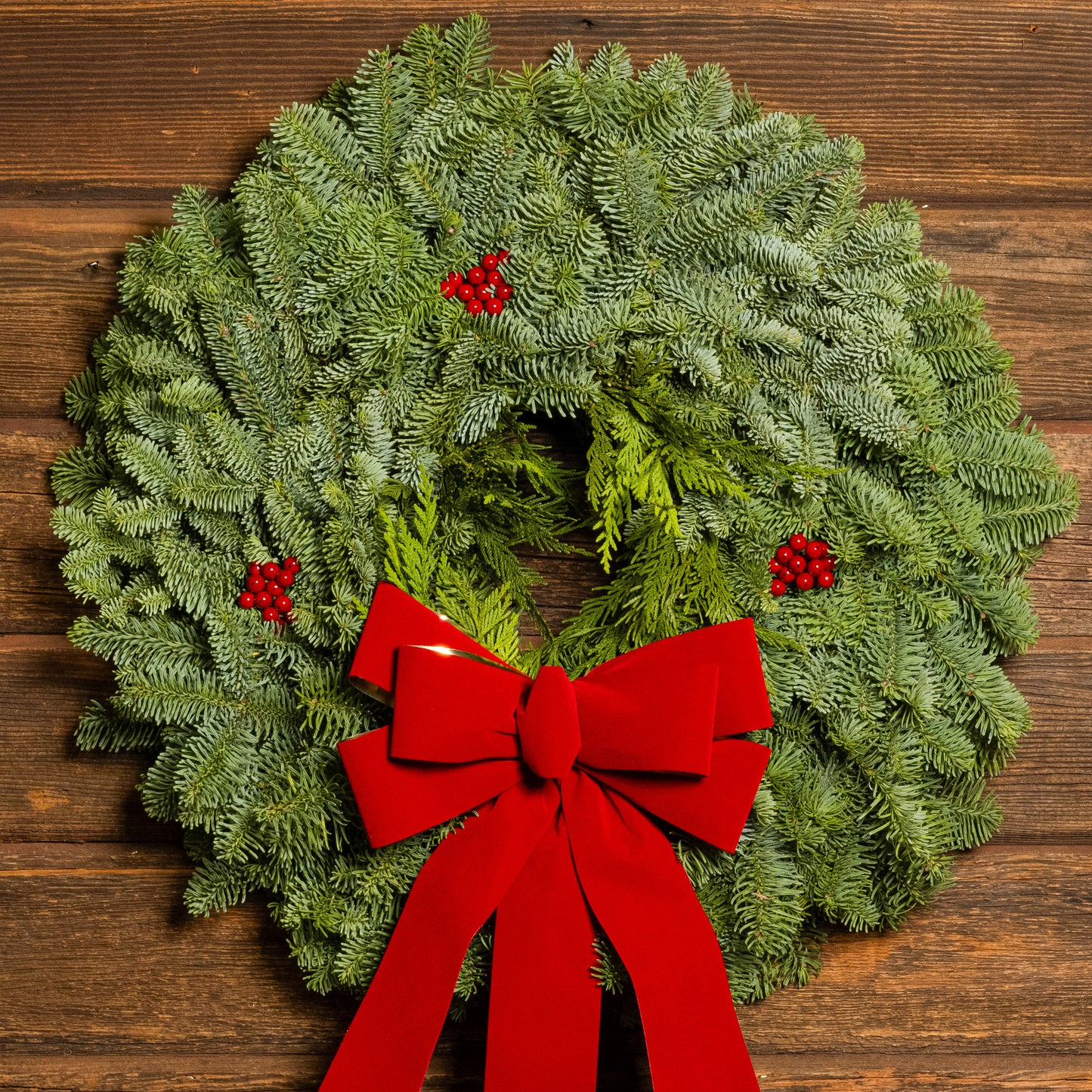 22" Christmas wreath of fir and cedar with three red berry clusters and a gold-backed red velveteen bow