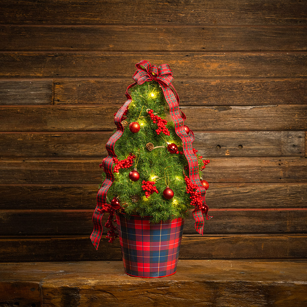 Perfect Plaid Living Christmas Tree - 2 Gallons