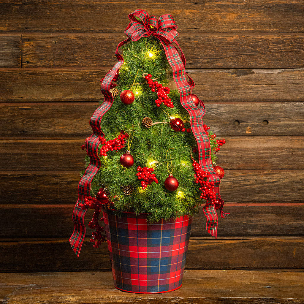 Perfect Plaid Living Christmas Tree - 2 Gallons
