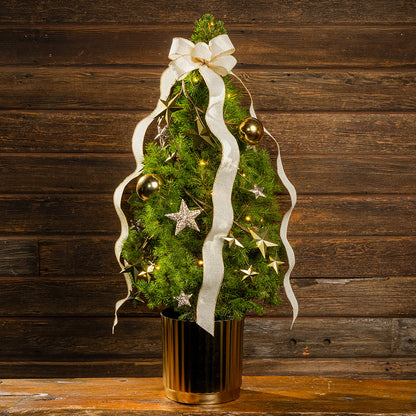 Radiant Living Christmas Tree - 1 Gallon
