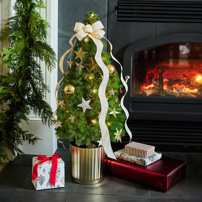 Radiant Living Christmas Tree - 1 Gallon