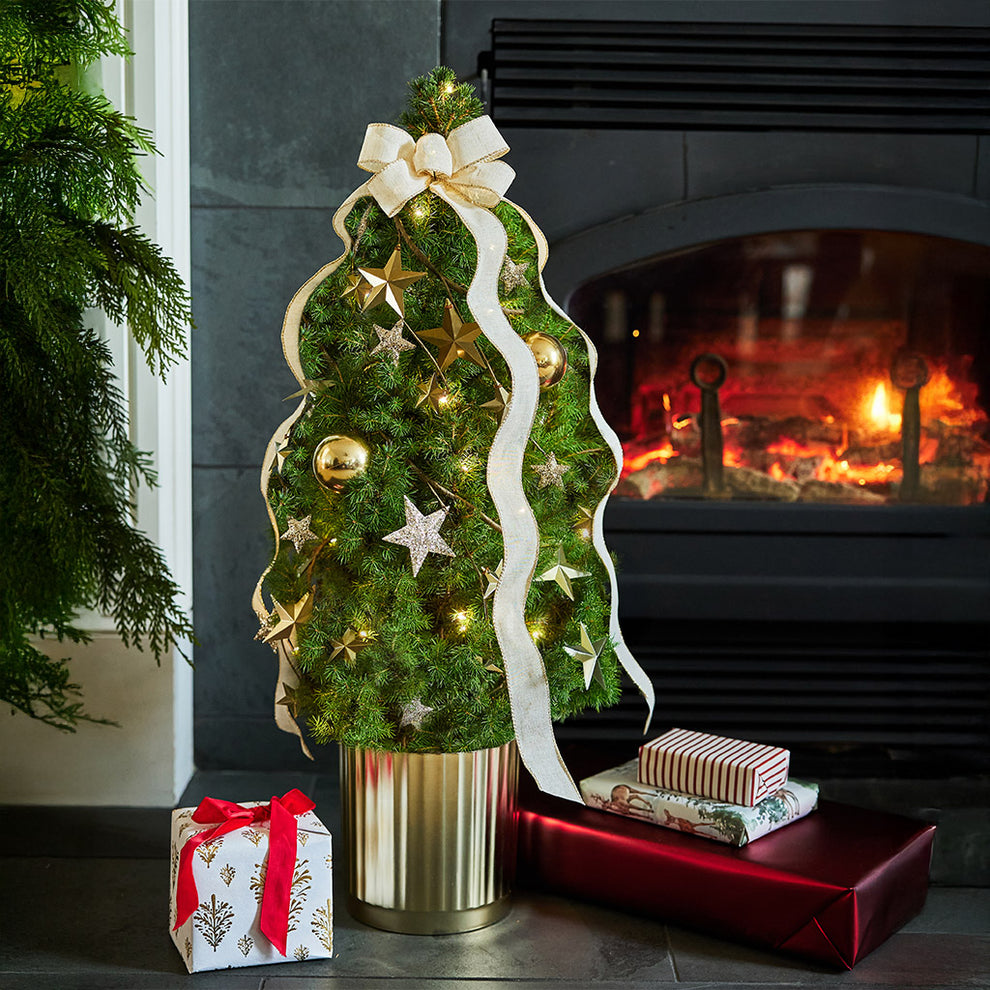Living Tree Radiant Living Christmas Tree - 1 Gallon – Lynch Creek Farm
