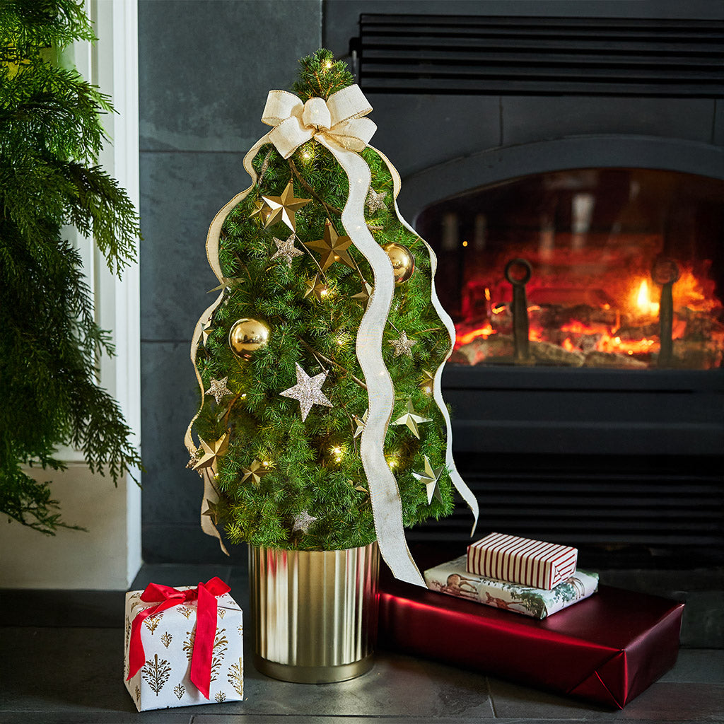Radiant Living Christmas Tree - 1 Gallon